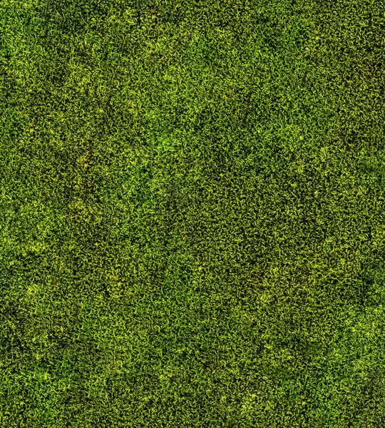 Close Green Moss Background — Stock Photo, Image