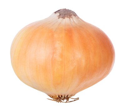 Olgun soğan beyaz arkaplanda izole