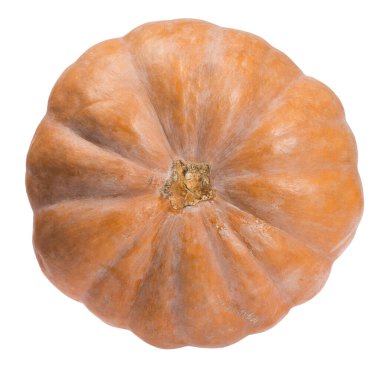 Koyu turuncu balkabağı beyaz arkaplanda izole