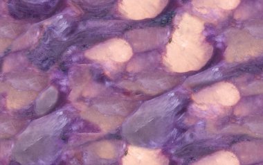 charoite taş desen makro fotoğraf