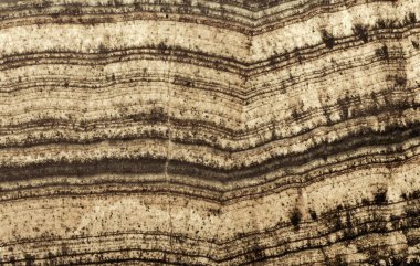 Açık ve koyu çizgili skarn deseni makro