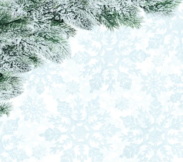 Corner Pine Tree Branches Snow Blue Snowflake Background — Stock Photo, Image