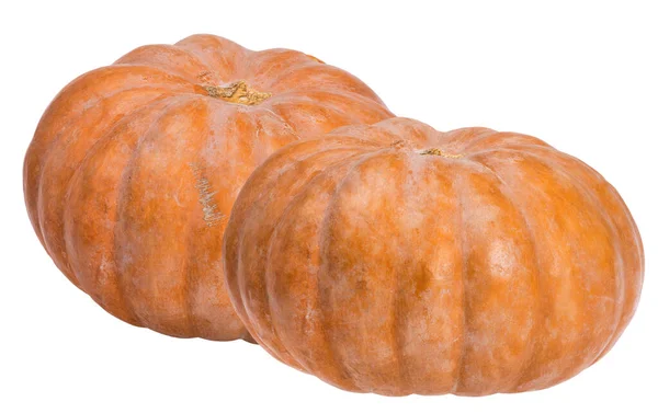 Calabazas Color Naranja Oscuro Aisladas Sobre Fondo Blanco — Foto de Stock