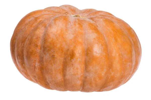 Zucca Arancione Scuro Isolato Sfondo Bianco — Foto Stock