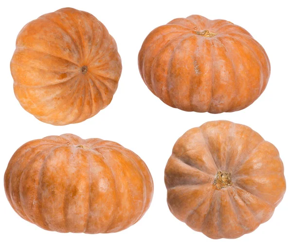 Dark Orange Pumpkins Isolated White Background — Stock Photo, Image