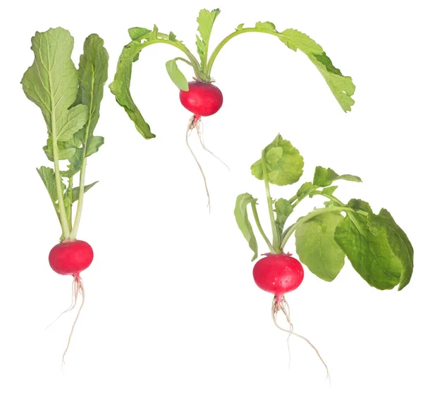 Τρία Κόκκινα Ραπανάκια Πράσινα Φύλλα Που Απομονώνονται Λευκό Φόντο — Φωτογραφία Αρχείου