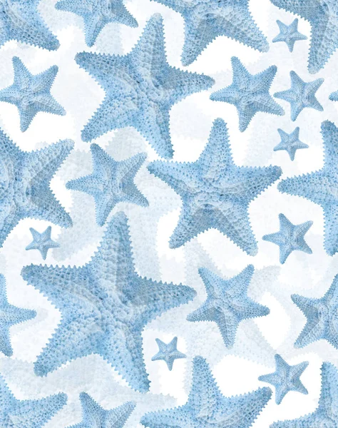 Cyan Starfish Seamless Background Pattern — Stock Photo, Image