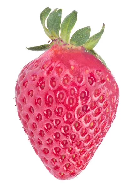 红色成熟草莓 白色背景隔离 — 图库照片