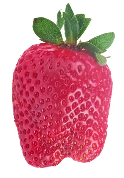 红色成熟草莓 白色背景隔离 — 图库照片