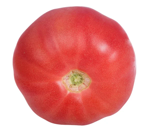 Tomate Unique Rouge Vif Isolée Sur Fond Blanc — Photo