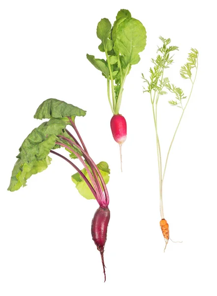 Légumes Aux Feuilles Vertes Isolés Sur Fond Blanc — Photo