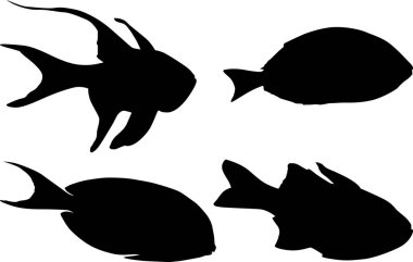 Beyaz arkaplanda izole edilmiş balık çizimleri ile illüstrasyon