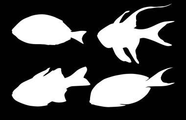 Siyah arkaplanda izole edilmiş balık çizimleri ile illüstrasyon