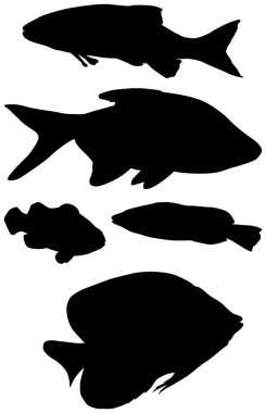 Beyaz arka planda izole edilmiş balık siluetleri ile resimleme