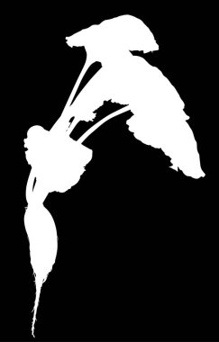 Beyaz arkaplanda izole pancar silueti ile illüstrasyon