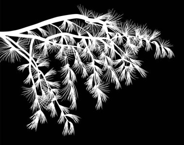 Siyah arkaplanda izole edilmiş beyaz dallı illüstrasyon