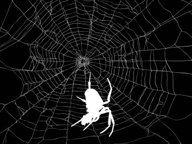 Siyah arkaplanda izole edilmiş örümcek ağlı illüstrasyon