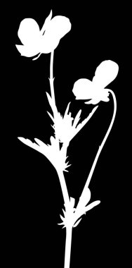 Siyah arkaplanda izole edilmiş çiçek silueti ile illüstrasyon