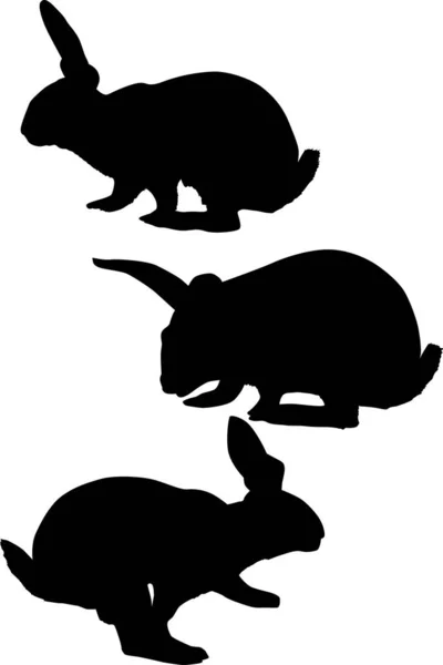 Illustration Rabbit Silhouettes Collection Isolated White Background — Stock Vector