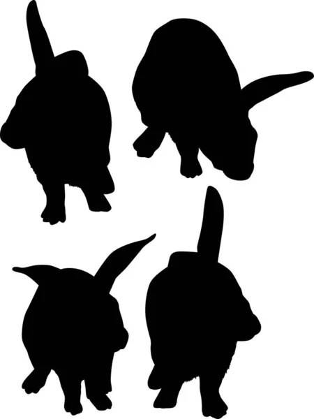 Illustration Mit Kaninchen Silhouetten Sammlung Isoliert Auf Weißem Hintergrund — Stockvektor