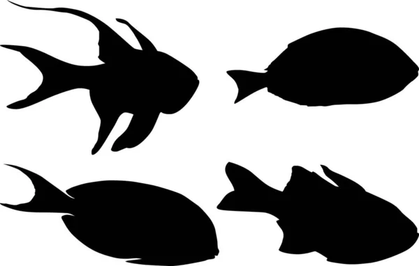 Illustration Set Fish Sketchs Isolated White Background — Stock Vector