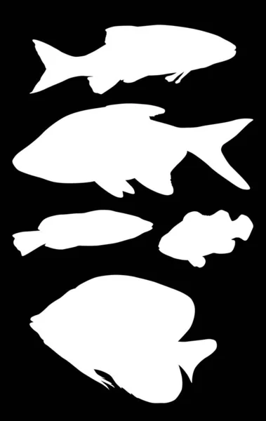 Illustration Avec Ensemble Silhouettes Poissons Isolées Sur Fond Noir — Image vectorielle