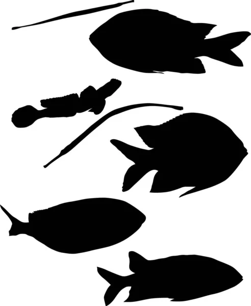 Illustration Avec Ensemble Silhouettes Poissons Isolées Sur Fond Blanc — Image vectorielle