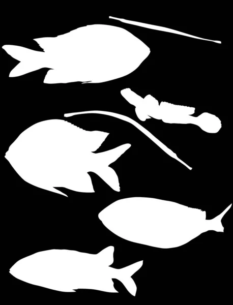 Ilustrace Sadou Rybích Siluet Izolovaných Černém Pozadí — Stockový vektor