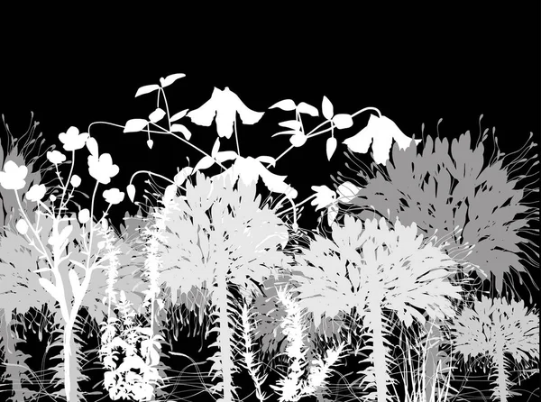 Illustration Mit Blumensilhouetten Isoliert Auf Schwarzem Hintergrund — Stockvektor