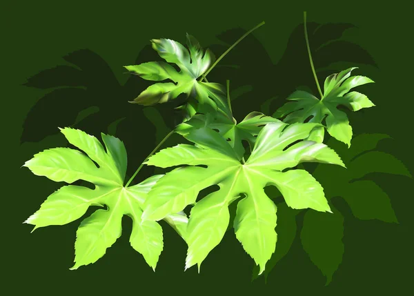 緑の背景に葉が描かれたイラスト — ストックベクタ