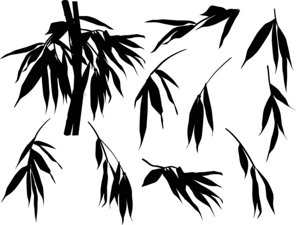 Illustration Mit Bambussammlung Auf Weißem Hintergrund — Stockvektor