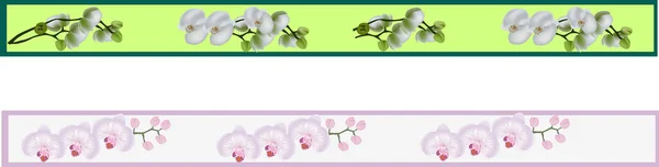 Illustrazione Con Bande Orchidee Rosa Bianche — Vettoriale Stock