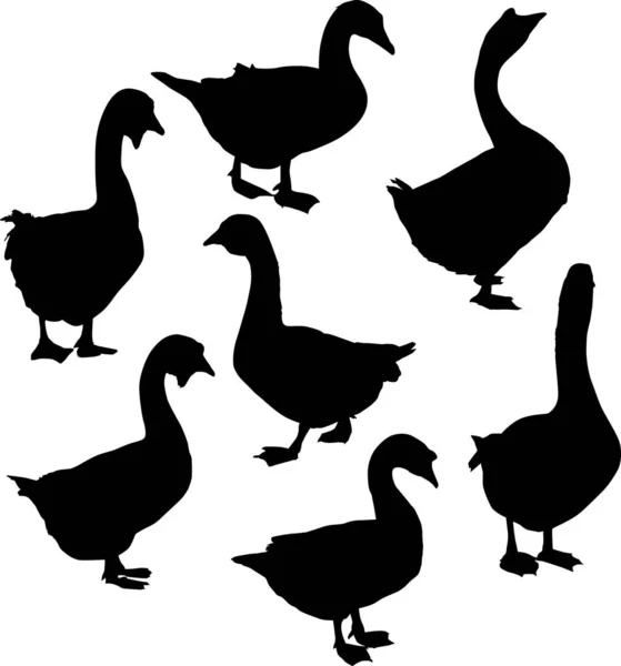 Illustration Set Goose Silhouettes Isolated White Background — Stock Vector