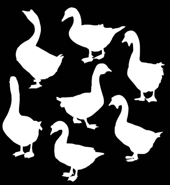 Illustration Set Goose Silhouettes Isolated Black Background — Stock Vector