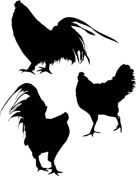 Illustration Mit Hühnersilhouetten Isoliert Auf Weißem Hintergrund — Stockvektor