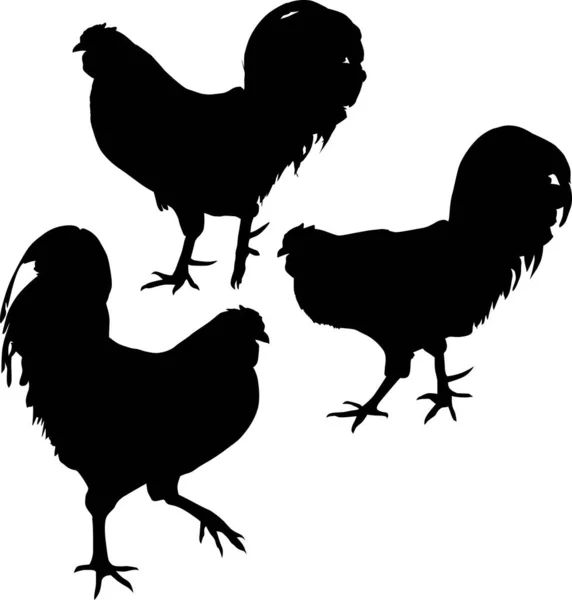 Beyaz Arka Planda Izole Edilmiş Tavuk Siluetleri Ile Resimleme — Stok Vektör