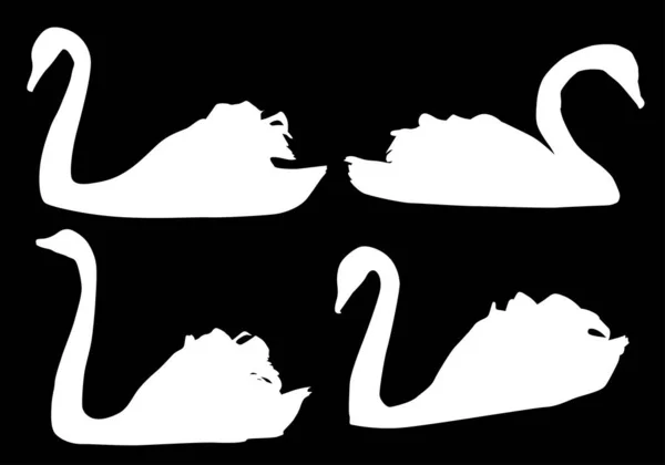 Ілюстрація Набором Плавальних Басейнів Ізольовані Чорному Фоні — стоковий вектор