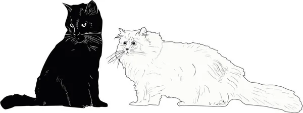 Ilustração Com Gatos Peludos Isolados Fundo Branco — Vetor de Stock