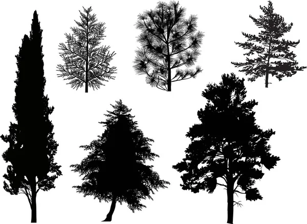 白い背景に孤立した針葉樹の木のシルエットのイラスト — ストックベクタ