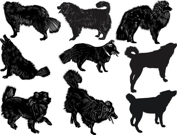 Illustration Set Dogs Isolated White Background — Stock Vector