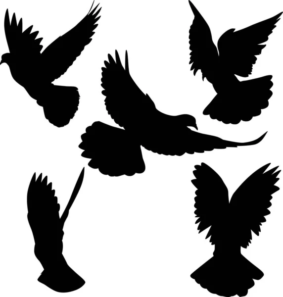 Illustration Avec Silhouettes Pigeons Isolés Sur Fond Blanc — Image vectorielle