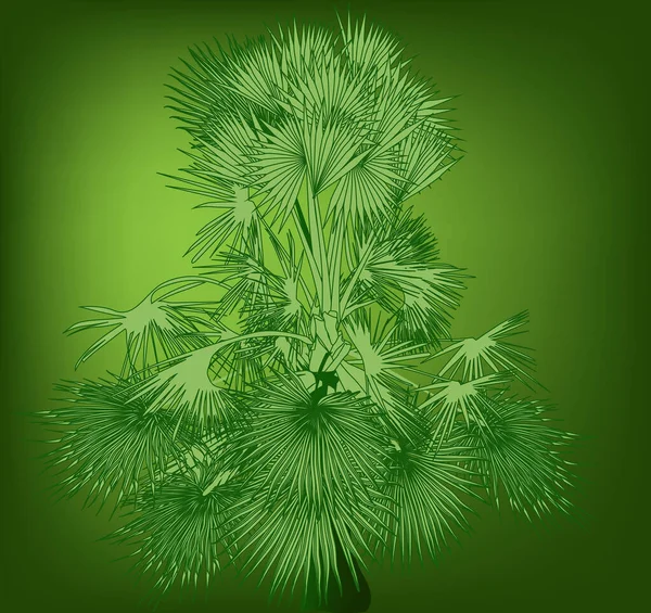 Illustration Single Palm Tree Green Background — Stock Vector