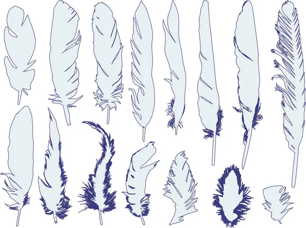 图上有15根白色背景的羽毛 — 图库矢量图片