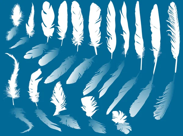 Illustration Med Vita Fjädrar Isolerad Blå Bakgrund — Stock vektor