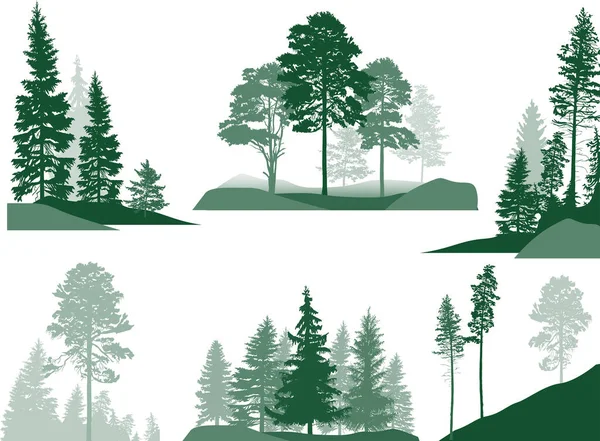 Illustration Fir Trees Set Isolated White Background — Stock Vector