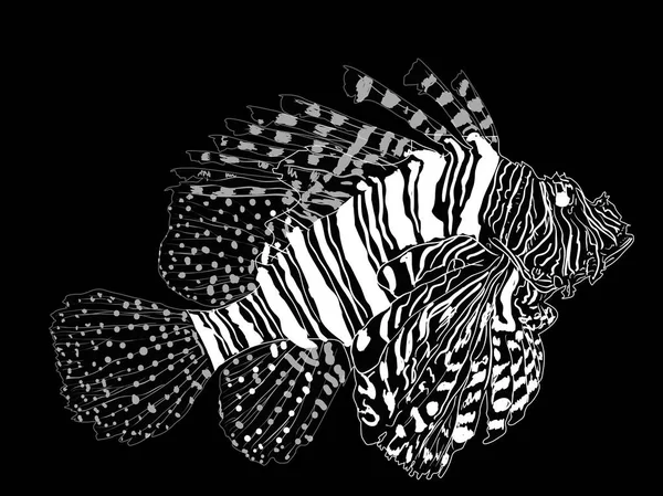 Illustratie Met Rode Lionfish Schets Isoleren Zwarte Achtergrond — Stockvector