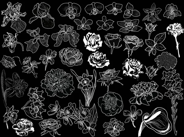 Illustration Avec Collection Croquis Fleurs Isolés Sur Fond Noir — Image vectorielle