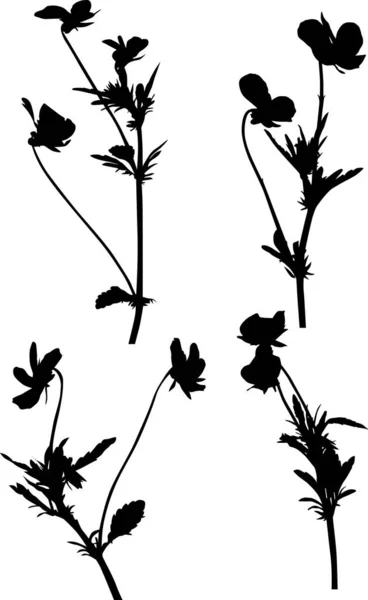 白地に切り取られた花のシルエットのイラスト — ストックベクタ