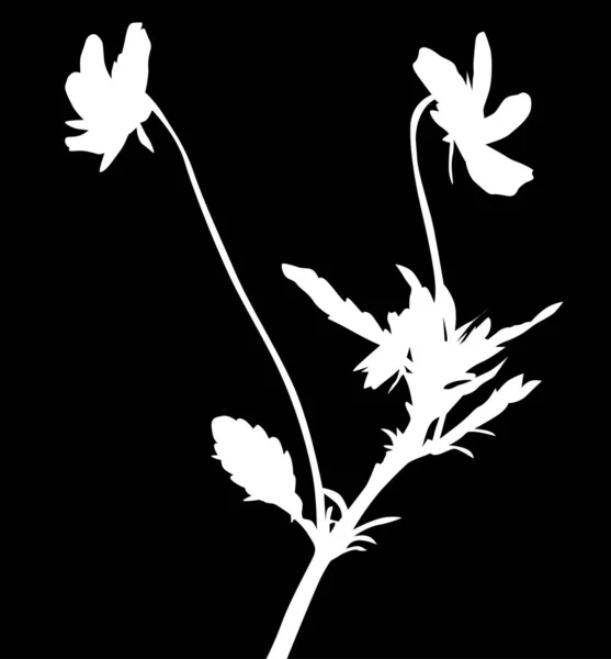 Ilustrace Květinovou Siluetu Izolované Černém Pozadí — Stockový vektor