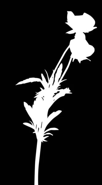 Illustration Avec Silhouette Florale Isolée Sur Fond Noir — Image vectorielle